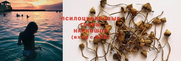 бошки Ветлуга