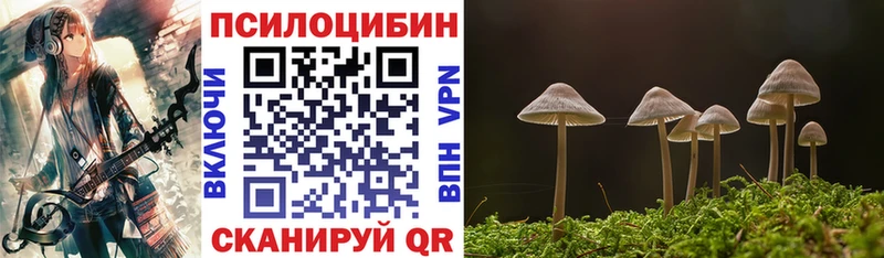 MEGA сайт где можно купить наркотик Кяхта Галлюциногенные грибы MAGIC MUSHROOMS